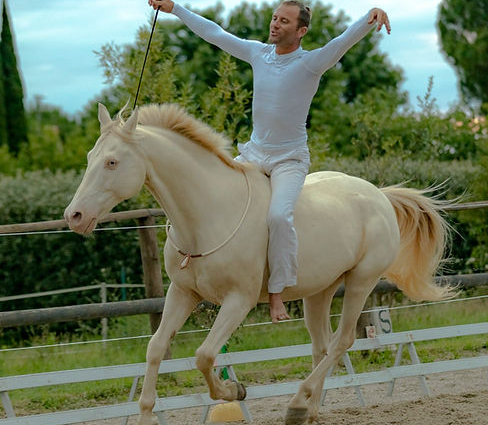 28 nouveaux labellisés Qualit'Équidés !